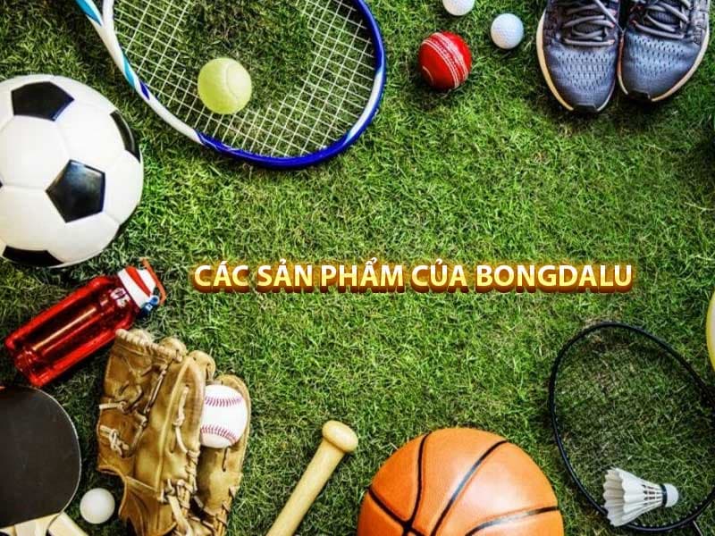 Bongdalu 153 Bóng rổ