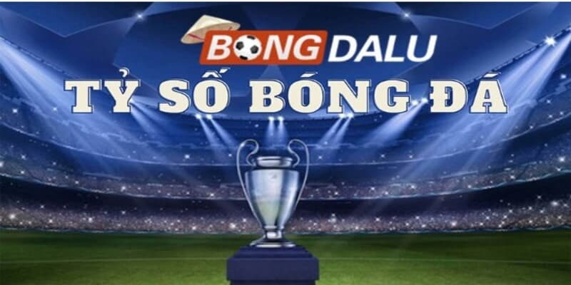 Bongdalu 155 Tính năng tìm kiếm thông tin