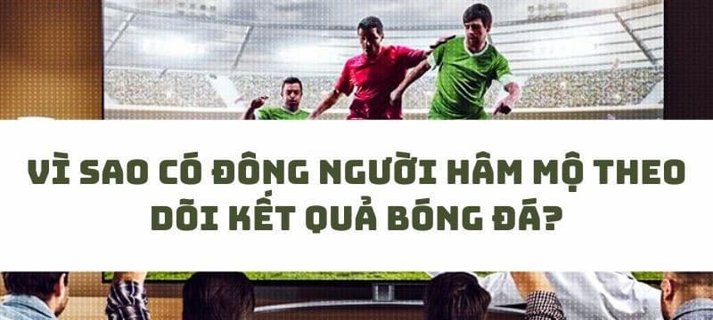 Kết quả bóng đá Bongdalu | Xem kqbd Bongdalu nhanh nhất 30 Vì sao người hâm mộ theo dõi kết quả bóng đá tại Bongdalu